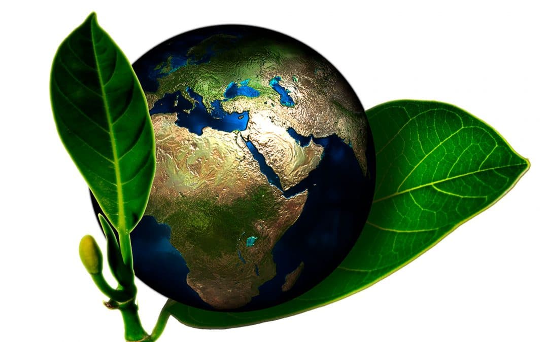 Welttag der Umwelt