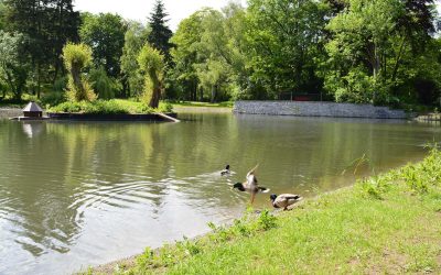 Nachbarschafts- und Familienfest im Gemeindepark Lankwitz